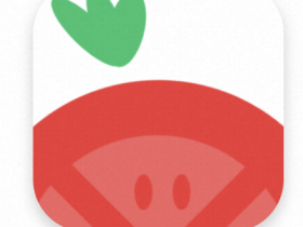 番茄动漫1.0.0.0最新版，修改去广告纯净版，需要的速来！已永久激活！